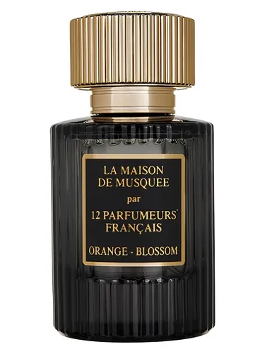 Imagen de Orange Blossom
