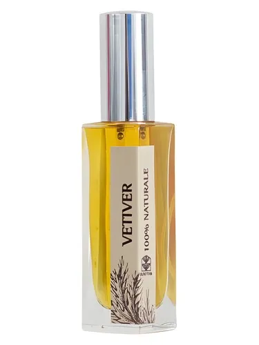 Imagen de Vetiver