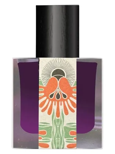 Perfume Cœr de Minuit de Jinx Smells