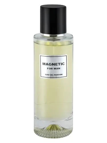 Perfume MAGNETIC for Man de KSV