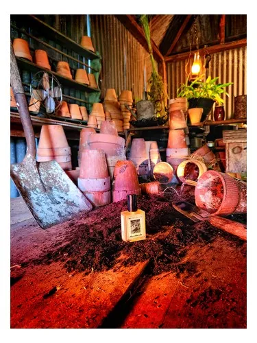 Perfume Wilcox's Potting Shed de Solstice Scents