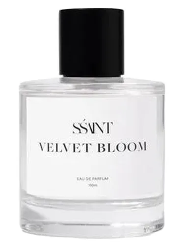 Imagen de Velvet Bloom