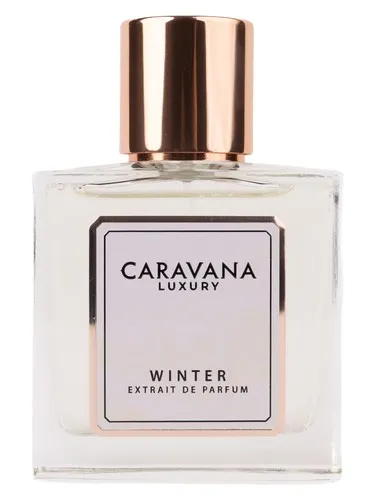 Imagen de Winter