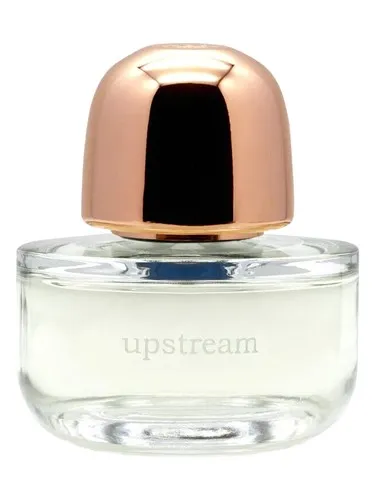 Perfume Upstream de Kilesa