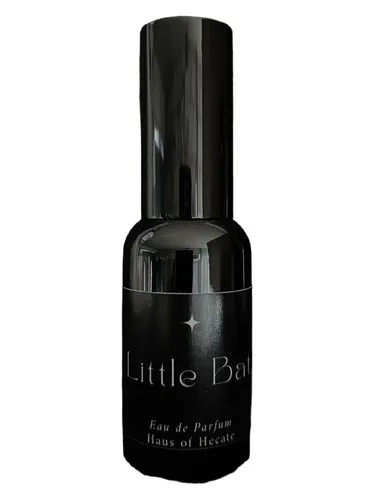 Imagen de Little Bat