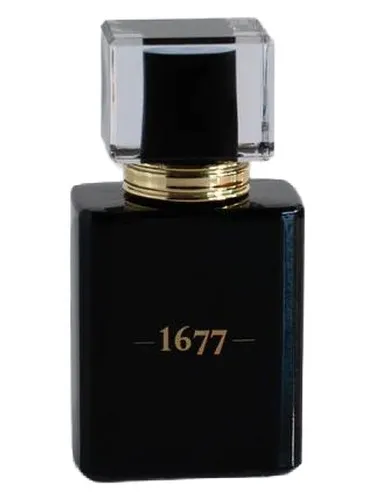 Imagen de Gentlemen 1677