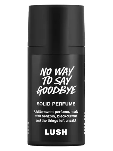 Imagen de No Way To Say Goodbye