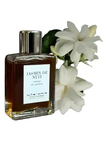 Imagen de Jasmin De Nuit