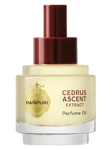 Imagen de Cedrus Ascent