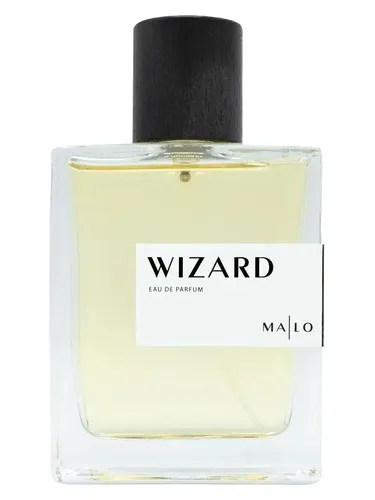 Imagen de Wizard