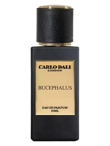 Imagen de Bucephalus