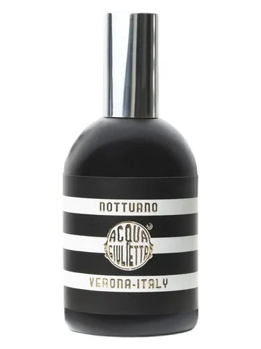 Imagen de Notturno