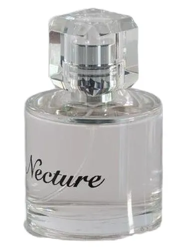 Imagen de Necture