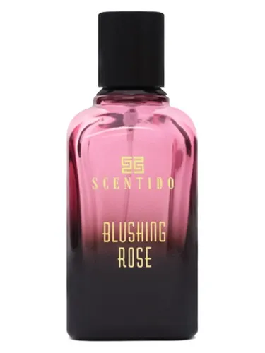Imagen de Blushing Rose