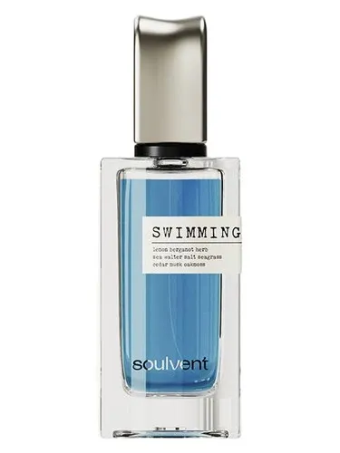Perfume Endless Blue de Soulvent