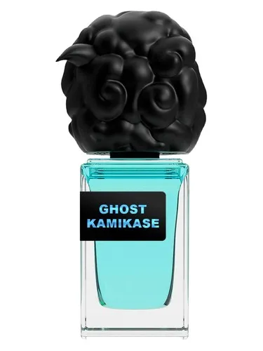 Imagen de Ghost Kamikase