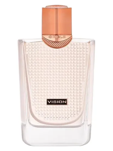 Perfume Vision Men de Gingle