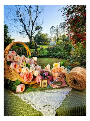 Perfume Estate Rosarium de Solstice Scents