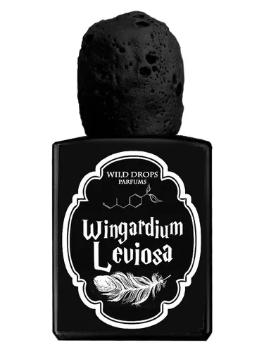 Imagen de Wingardium Leviosa