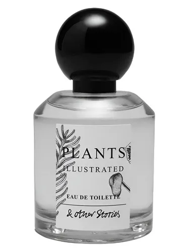 Perfume Plants Illustrated de And Other Stories