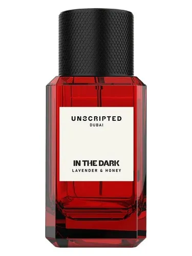 Imagen de In The Dark