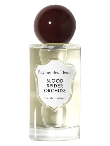 Imagen de Blood Spider Orchids 2025