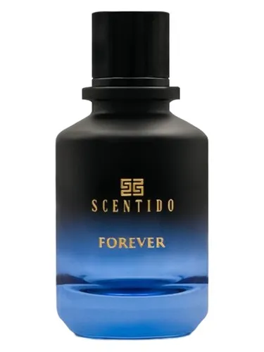 Imagen de Forever