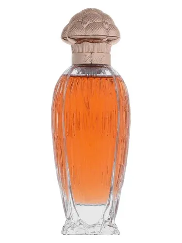 Perfume Vivid de Gingle