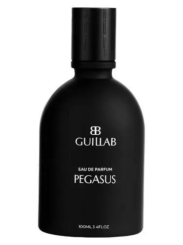 Imagen de PEGASUS