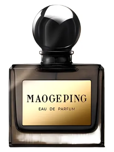 Perfume 龙涎焚香 de Maogeping 毛戈平