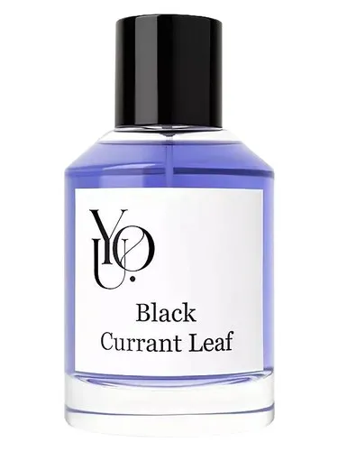 Imagen de Black Currant Leaf