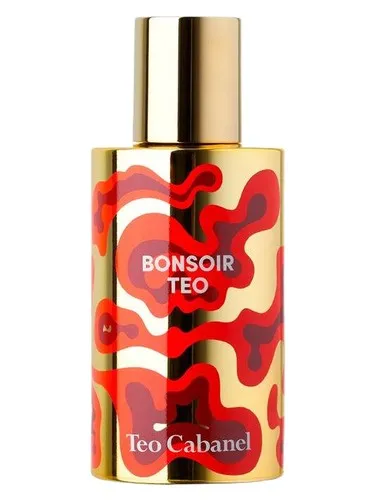 Imagen de Bonsoir Teo