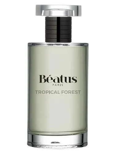 Imagen de Tropical Forest