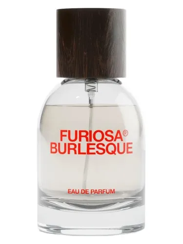 Imagen de Burlesque