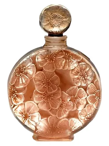 Perfume Chypre Ambre de Volnay