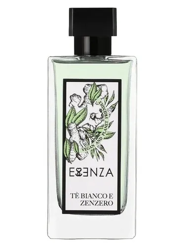 Imagen de Tè Bianco e Zenzero