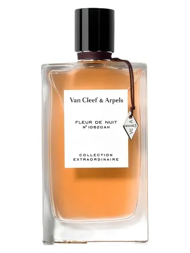 Imagen de Fleur de Nuit