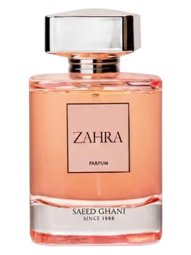 Imagen de Zahra