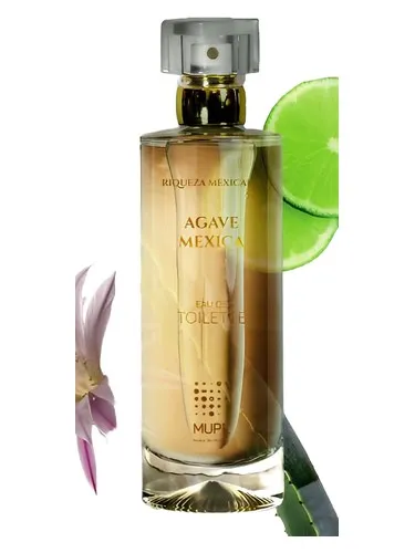 Imagen de Agave Mexica