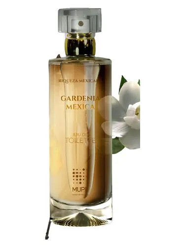 Imagen de Gardenia Mexica