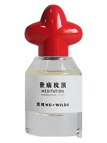 Perfume Meditation de Nu Wilds