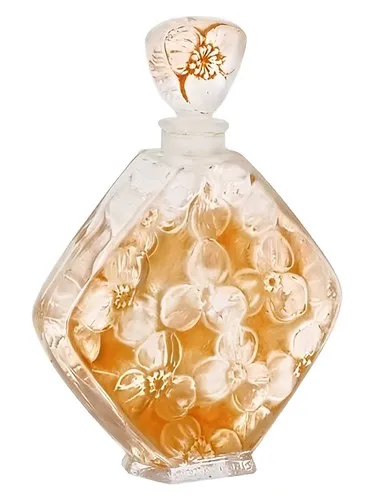 Perfume Napée de Volnay