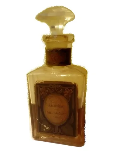 Perfume Violette Rêvee de Bourjois