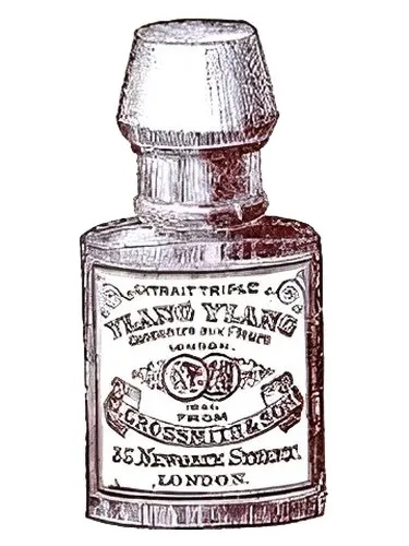 Perfume Ylang Ylang de Grossmith