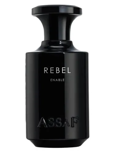 Perfume Rebel de Assaf