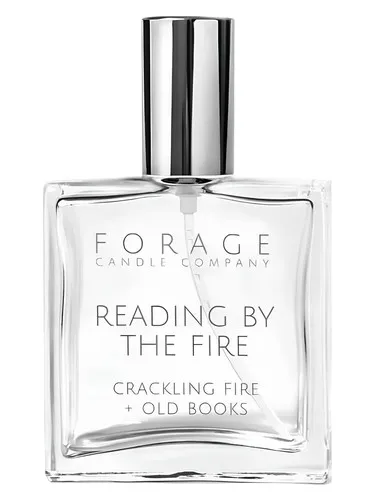 Imagen de Reading by the Fire