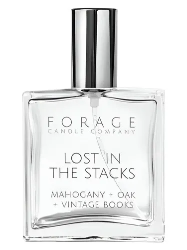 Imagen de Lost in the Stacks