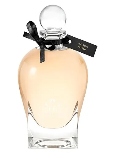 Imagen de Melrose Freesia