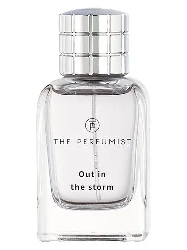 Perfume Out In The Storm de The Perfumist Ici ParisXL