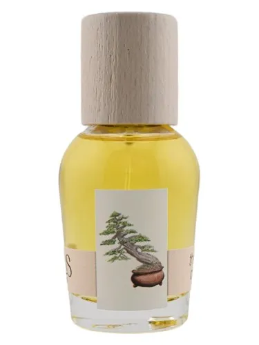 Perfume The Idea of You de Cirrus Parfum